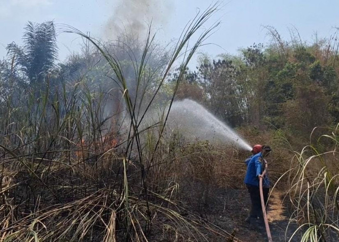 Kobaran Api Nyaris Sambar Pusat Genteng Pandawa Raya Lebaksiu Tegal