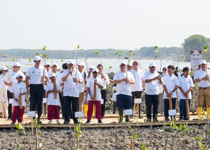 Manfaatkan Sampah Jadi Pemecah Ombak, BRI Peduli Tanam 30 Ribu Bibit Mangrove di Pantai Utara Jawa