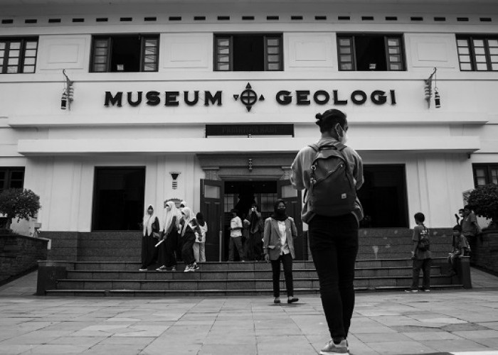 4 Daya Tarik Museum Geologi Bandung, Menyusuri Sejarah Manusia dan Binatang Purba Nusantara