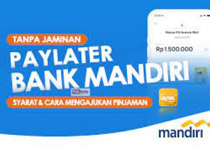 Ketahui Syarat dan Cara Pengajuan Pinjaman Livin PayLater by Bank Mandiri, Lakukan Langkah Berikut Ini