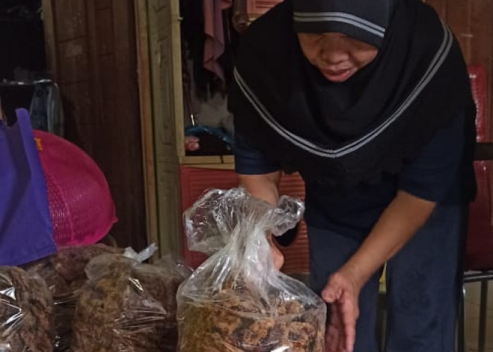 Harga Gula Aren di Kecamatan Bantarbolang Kabupaten Pemalang Naik