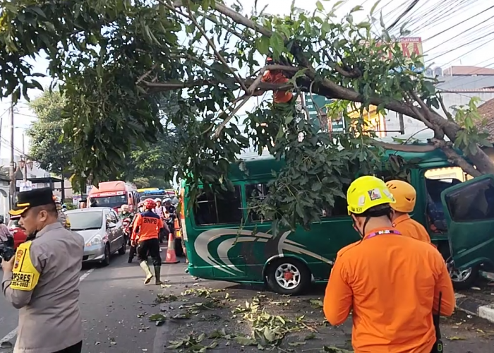 Melaju Diatas 60 Km/Jam, Prona Hantam Pohon Usai Hindari Penyebrang Jalan