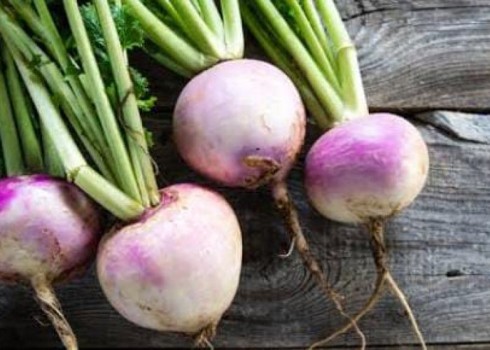 Ini Dia 5 Manfaat Sayur Turnip Untuk Kesehatan 