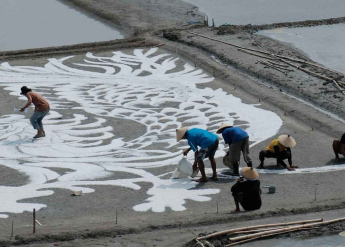 Geger! 10 Seniman Kondang Siap Bikin Lukisan Garam Terbesar di Dunia di Rembang