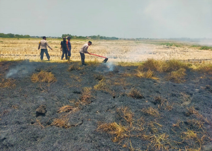 Kebakaran Lahan di Sekitar Tol Pejagan–Pemalang, Polisi dan Damkar Bergerak Cepat  