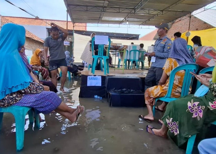 Cerita Pilkada 2024, Nayla Rela Terjang Banjir Seperut Demi Bisa Nyoblos Paslon Walikota Pekalongan