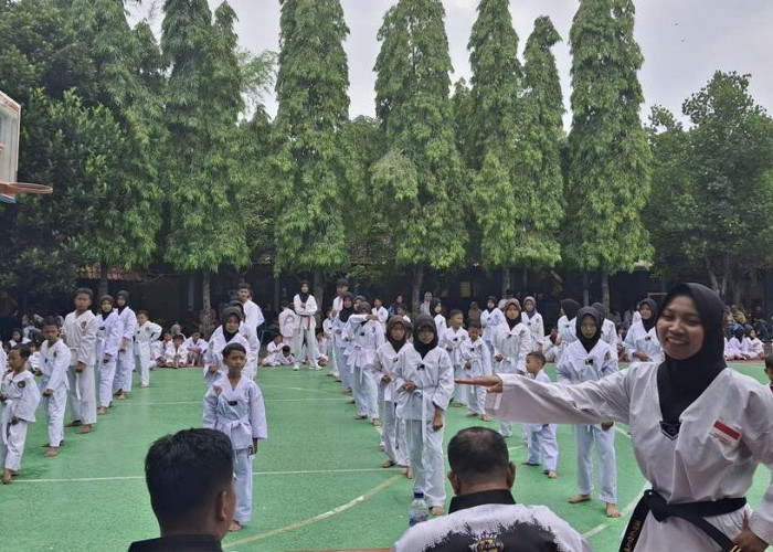 Jumlah Peserta UKT Taekwondo di Blora Capai Ratusan Orang, Bukti Tingginya Antusiasme Masyarakat