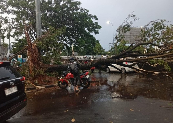 Cuaca Ekstrem di Jateng Dipicu Bibit Siklon Tropis, BMKG Keluarkan Peringatan hingga 7 Maret