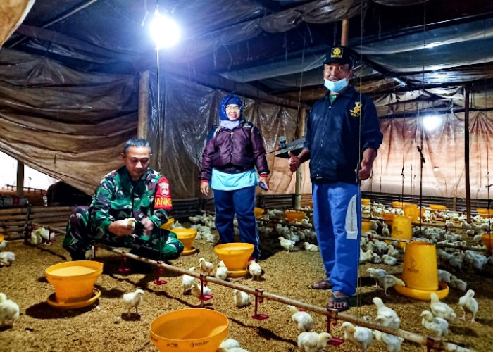 Koramil 11 Belik Kodim Pemalang Lakukan Komsos dengan Peternak ayam di Desa Kuta 