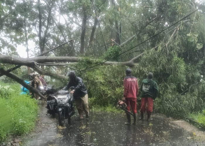 Hujan Deras dan Angin Kencang Porak-porandakan Kota Semarang