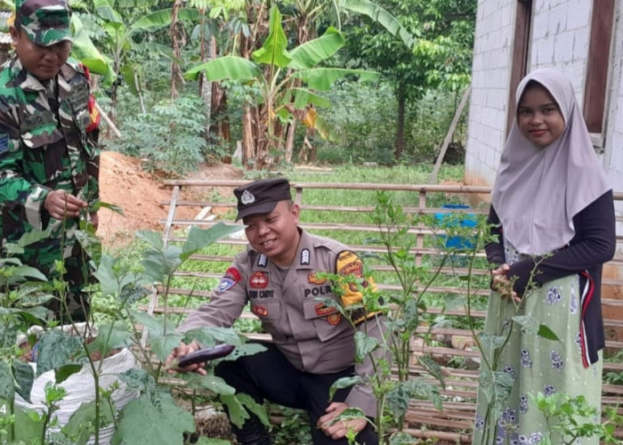 Demi Ketahanan Pangan, Bhabinkamtibmas  Jepara Dikerahkan Pantau Pertanian