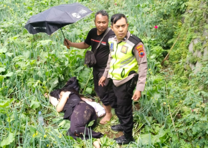 Scoopy Plat K Rem Blong di Kawasan Wisata Umbul Sidomukti, 1 Keluarga Asal Semarang Terperosok ke Kebun Warga