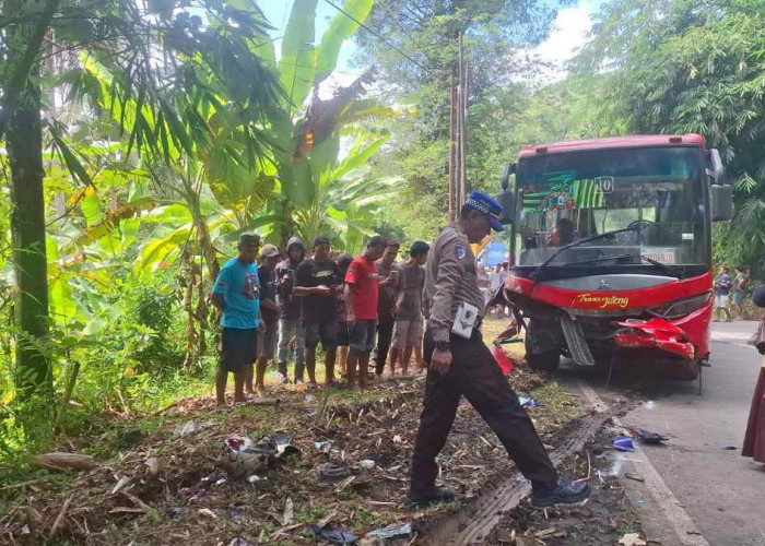 Hindari Kucing Melintas, Kecelakaan Beruntun Bus Trans Jateng di Purworejo Renggut Nyawa Pemotor