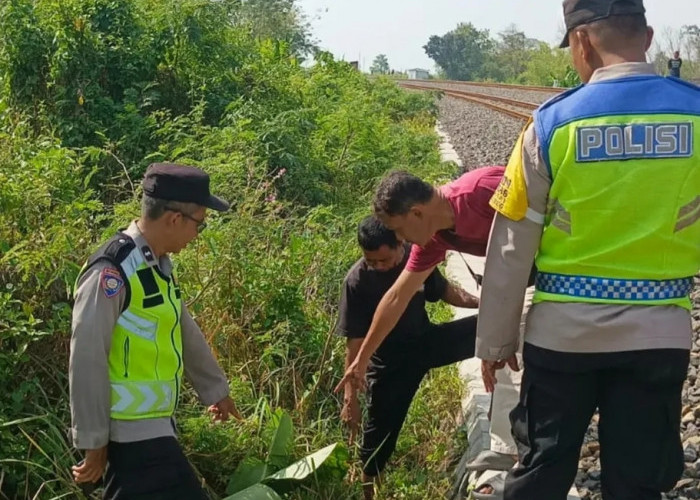 Diduga Tertemper Kereta Api, Lansia Dilaporkan Tewas Saat Dibawa ke Rumah Sakit