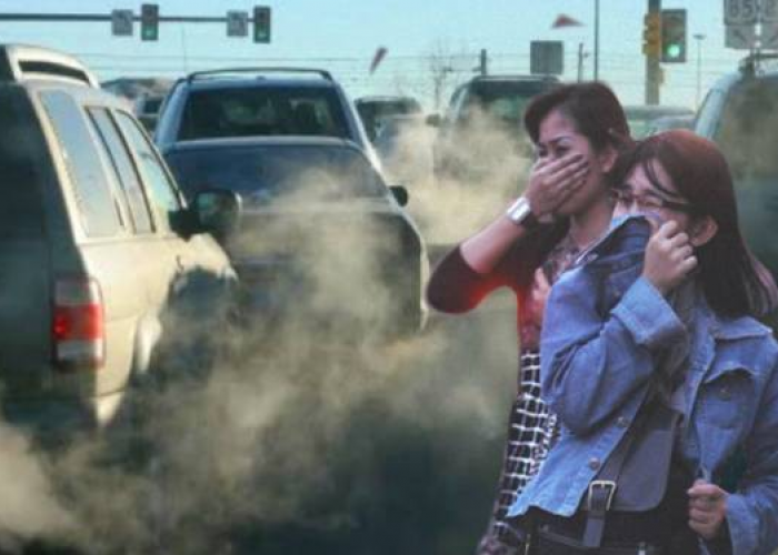 5 Penyebab Pencemaran Udara dan Cara Mengatasi Polusi Udara di Dalam Ruangan 
