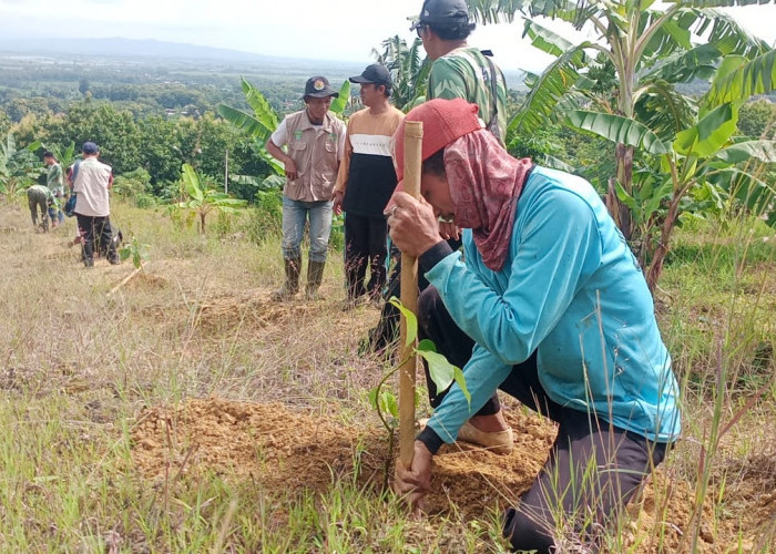 Prihatin Lahan Gundul Picu Banjir, Komunitas Laskar Muria Hijaukan Pegunungan Kendeng