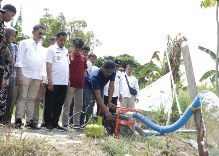 Bupati Pemalang Serahkan Bantuan Pompa Air untuk Petani