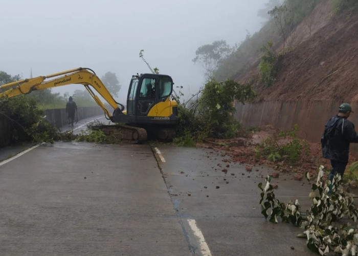 Tikungan Sibelis Paninggaran Pekalongan Longsor, Waspada Bencana Susulan 