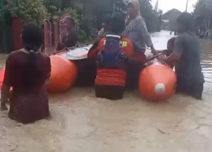 Sungai Cenang dan Cacaban Meluap, Ribuan Rumah di Pantura Tegal Terendam Banjir