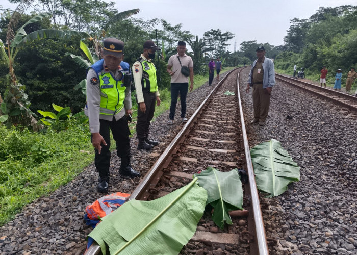 Petugas Pengontrol Rel Tewas Tertemper Kereta di Kandeman Batang