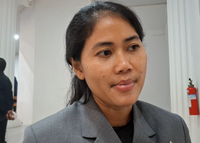 85 Investor Minati Proyek Pengolahan Sampah Jadi Listrik di TPA Jatibarang Semarang