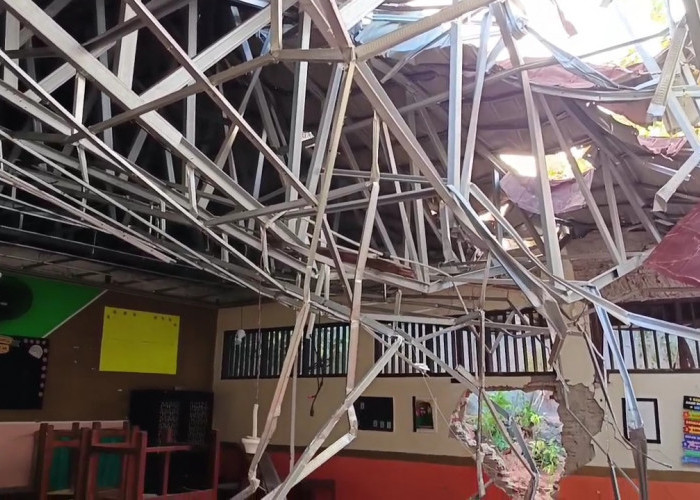 Pohon Raksasa Tumbang Saat Jam Belajar, Atap Kelas 1 SDN Sendangmulyo 03 Semarang Ambrol, Siswa Dievakuasi