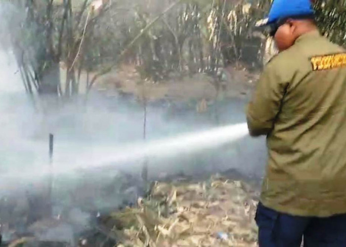 Musim Kemarau Melanda, Tegal Dilanda Serangkaian Kebakaran Lahan