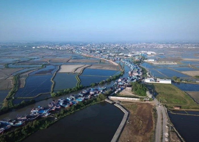 Investor Raksasa Cina Kepincut Investasi Maritim di Pulau Seprapat dan TPI Juwana Pati