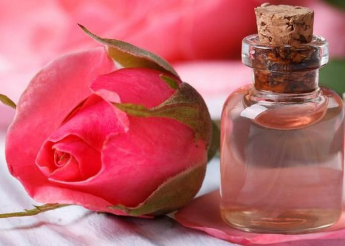 10 Rahasia Manfaat Air Mawar Untuk Kecantikan Wajah, Ampuh Untuk Atasi Jerawat Membandel