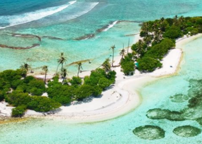 6 Pantai Paling Mematikan di Dunia, Adanya Makhluk Mutan Akibat Dari Radiasi