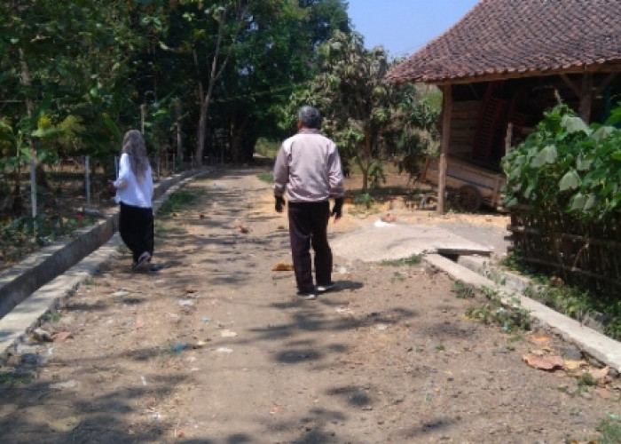 Warga Desa Pabuaran Pemalang Minta agar Jalan Usaha Tani Diaspal