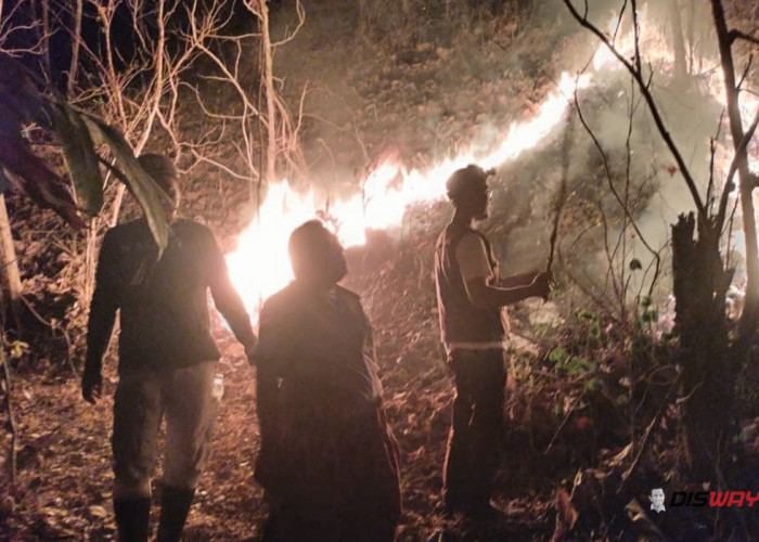 Kebakaran Lahan 4 Hektare di Gunung Kanthil Kebumen, Api Padam Setelah 3 Jam