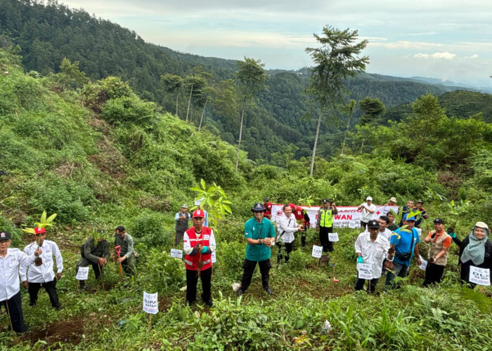 Aksi Nyata Hari Relawan PMI 2025 di Batang, Dari Hutan Gunung hingga Pesisir