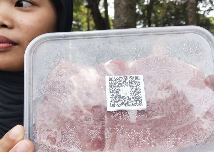 Pertama di Indonesia, Dispangtan Salatiga Luncurkan Inovasi SeLaDA Cegah Peredaran Daging Gelonggongan