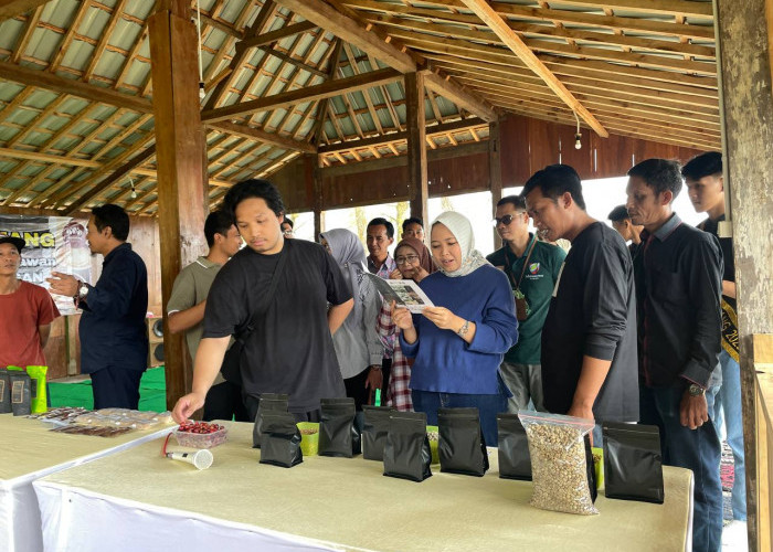 Miskin Branding, Faelasufa Temukan Kopi Khas Batang Dijual atas Nama Daerah Lain