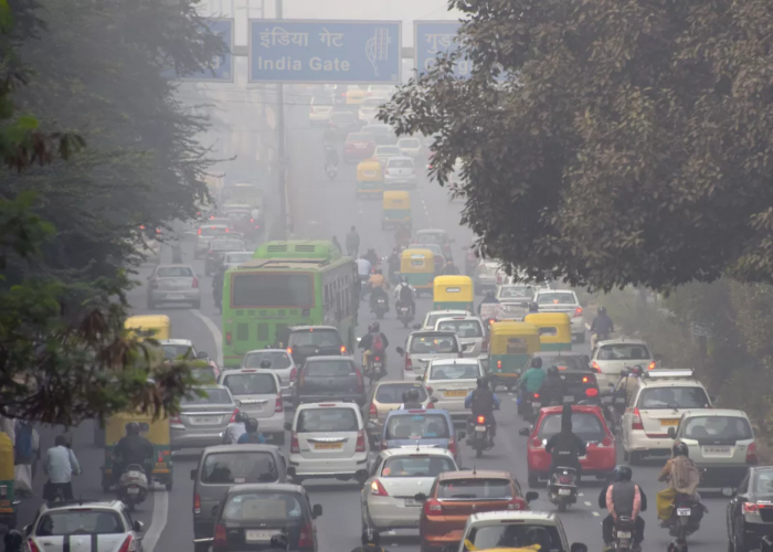 Darurat Pencemaran Udara! Berikut 6 Cara Mengatasi Pencemaran Udara Demi Kesehatan Bersama 