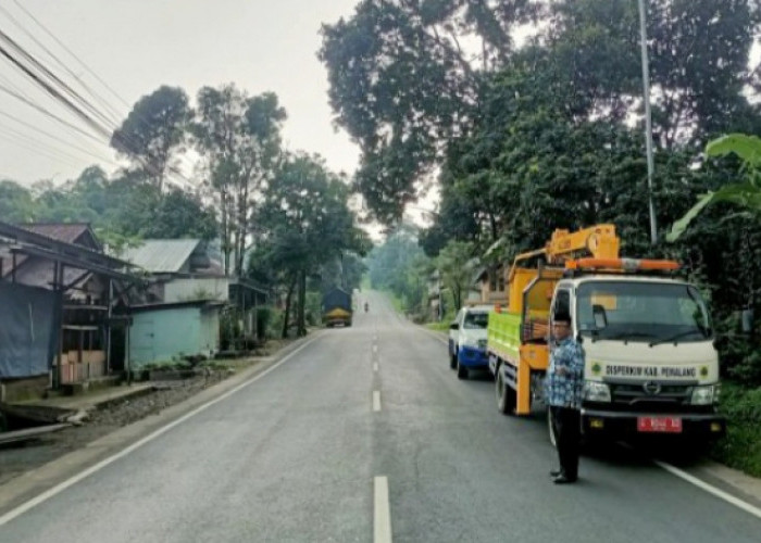 Lampu PJU di Wilayah Kecamatan Belik Kabupaten Pemalang Sebagian Mati dan Rusak