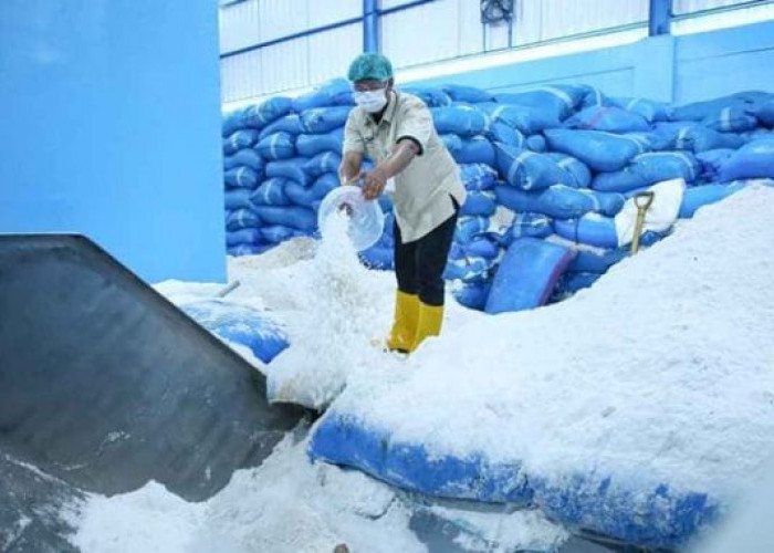 Pabrik Garam Industri di Pati Didesak Jadi Pelaku Utama Industri dan Bukan Pedagang Garam