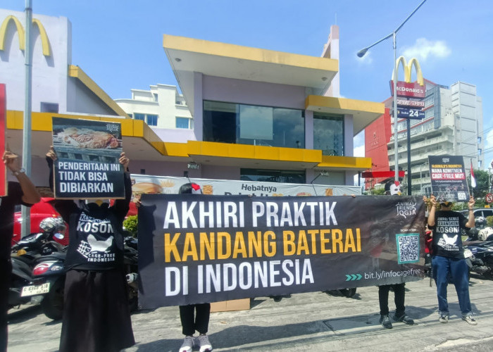 Diduga Masih Gunakan Telur Kandang Baterai, Aktifis AFJ Gelar Aksi di McDonald’s Semarang 