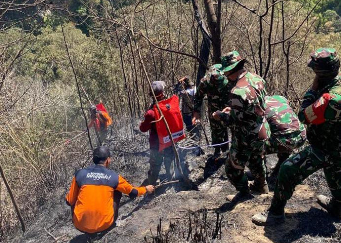 1,6 Hektare Hangus, Kebakaran Hutan di Lereng Gunung Merapi,