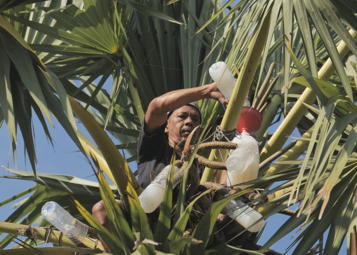 Desa Hendrosari Bangkit, Ekonomi Melaju Berkat Pemberdayaan Desa BRILian