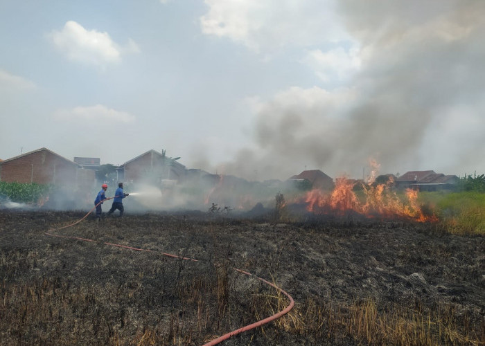 Sehari Empat Kali Kebakaran di Kabupaten Tegal, Ini Penyebabnya