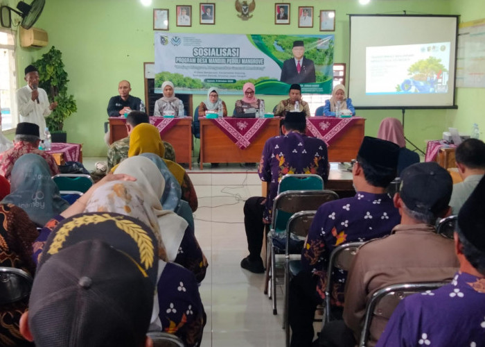 Tambak Hilang Disapu Abrasi, Banjarsari Demak Bangkit dengan 30 Hektare Mangrove