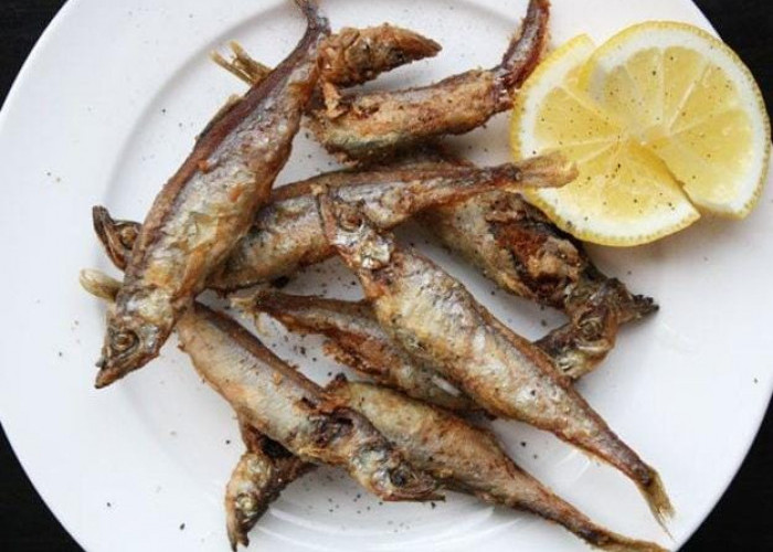 Ini Manfaat Ikan Shasimo yang Sempat Viral Dikonsumsi Cipung, Anda Harus Tau! 