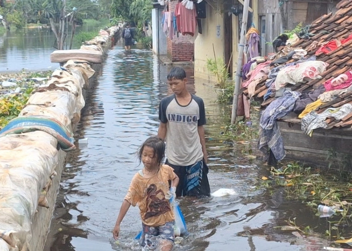 Kondisi Banjir Kota Pekalongan Berangsur Surut, Pengungsi Masih 2.268 Jiwa