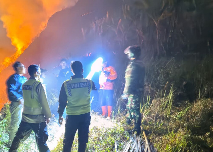 Polri Bergerak Cepat Cegah Kebakaran Merembet Ke Hutan Pinus Di Bumijawa Tegal