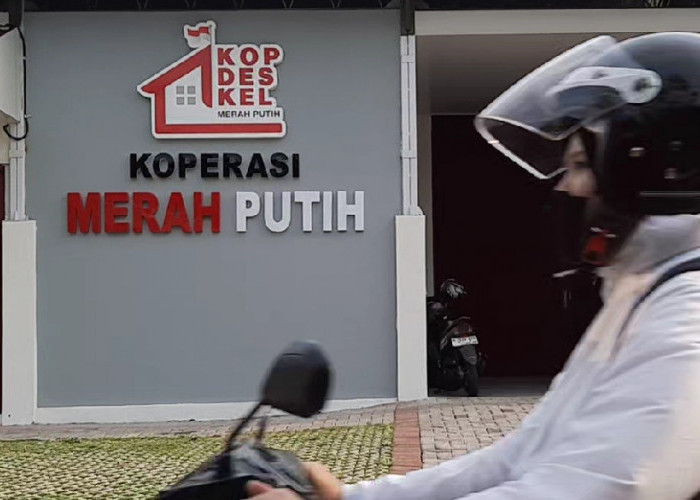 Pasokan Seret, Koperasi Merah Putih Kota Semarang Tetap Raup Rp869 Juta, Ini Kendalanya