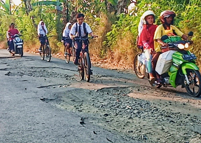Jalan Kabupaten di Desa Wanamulya Kabupaten Pemalang Rusak Parah