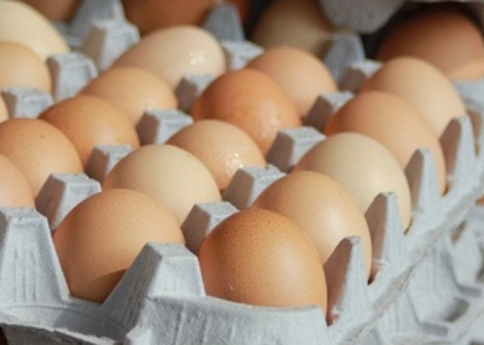 Segudang Manfaat Telur, Salah Satunya Untuk Kesehatan Reproduksi! Berikut 4 Tips mengonsumsinya