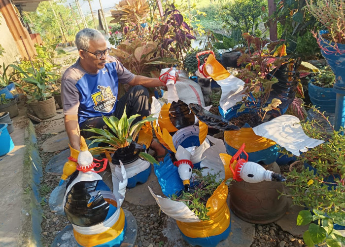 Galon Bekas Diubah Jadi Pot Cantik